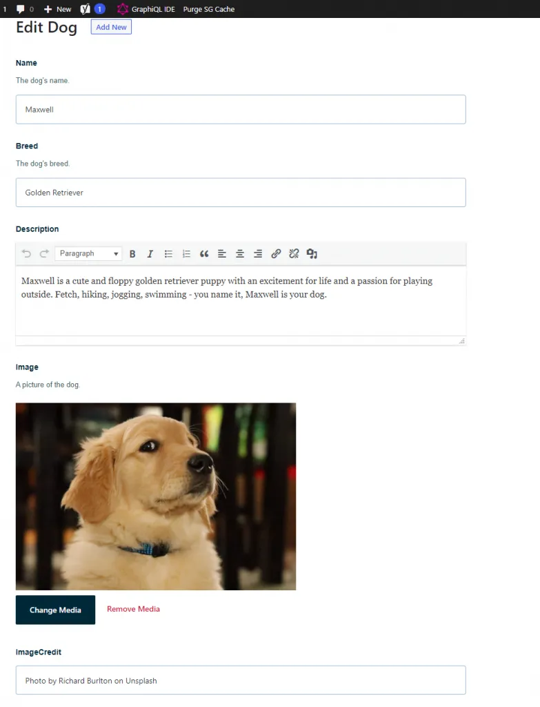 Custom Post using Atlas Content Modeler with headless WordPress.