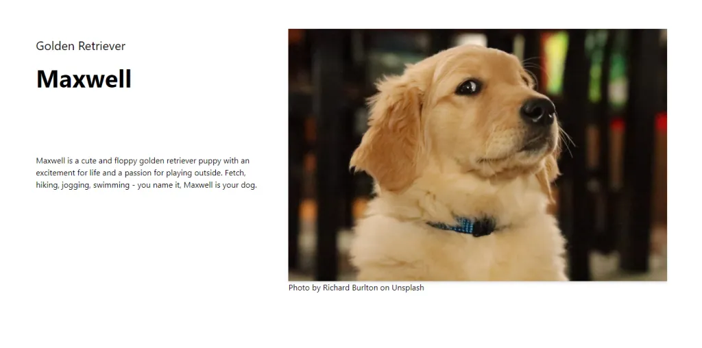 Example web page using Custom Post Types with headless WordPress.