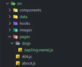 Example using Gatsby’s File System Route API to generate pages from a Custom Post Type.