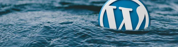 Don't feel lost at sea with headless WordPress!